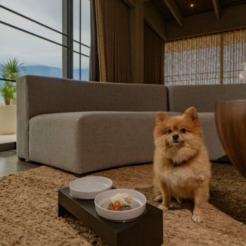 Discover Pet-It® and Live our Barefoot Luxury® next to your Furry Friend 